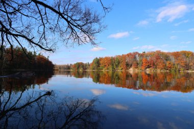 The beautiful autumn landscape with the smooth lake and colorful trees on the shore.
