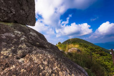 Closeup of rocks in the mountains with plants