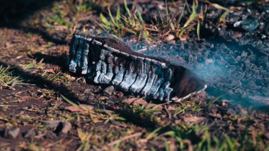 A closeup of a rock with smoke coming out of it surrounded by grass with the sun shining on it