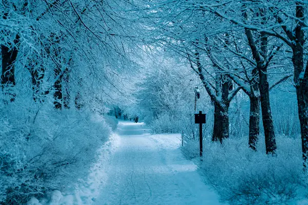 Snowy Walkway Central Enkoping Sweden — Stok fotoğraf