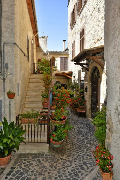 イタリアのラツィオ地域の村 ジュリアーノ ローマの古い家の間の狭い通り — ストック写真