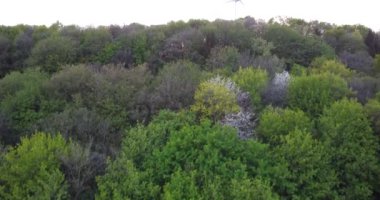 An aerial view of a windmill in the forest during sunset in Munchen, Germany