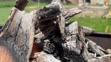 Hot charcoal burning on a grill