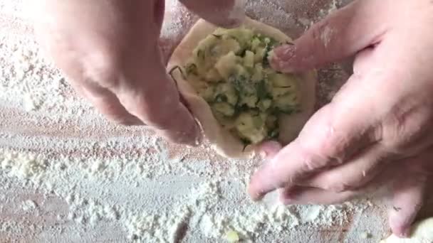 Home Made Ukrainian Vegetarian Patty — Αρχείο Βίντεο