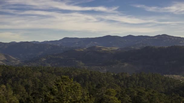 米国カリフォルニア州カーメルの森林地帯を移動する雲のタイムラプス — ストック動画