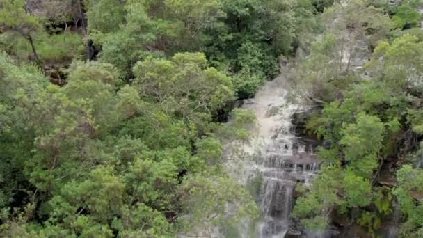 Drone Shot Beautiful Waterfalls Trees River Natural Park — Video