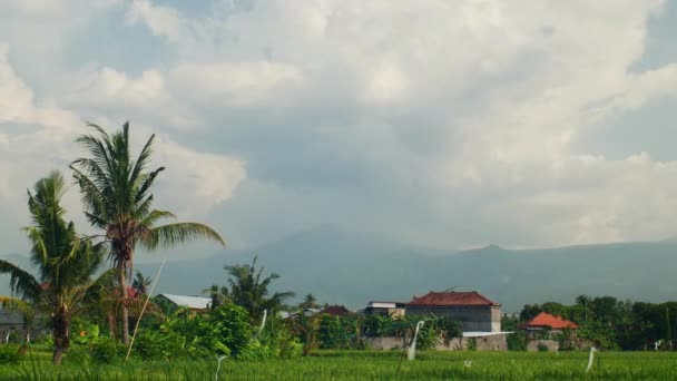 Видео Сингарадже Бали Индонезия — стоковое видео