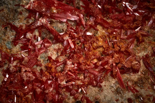 Closeup Rare Mineral Row Uncut Red Crystal — Foto Stock