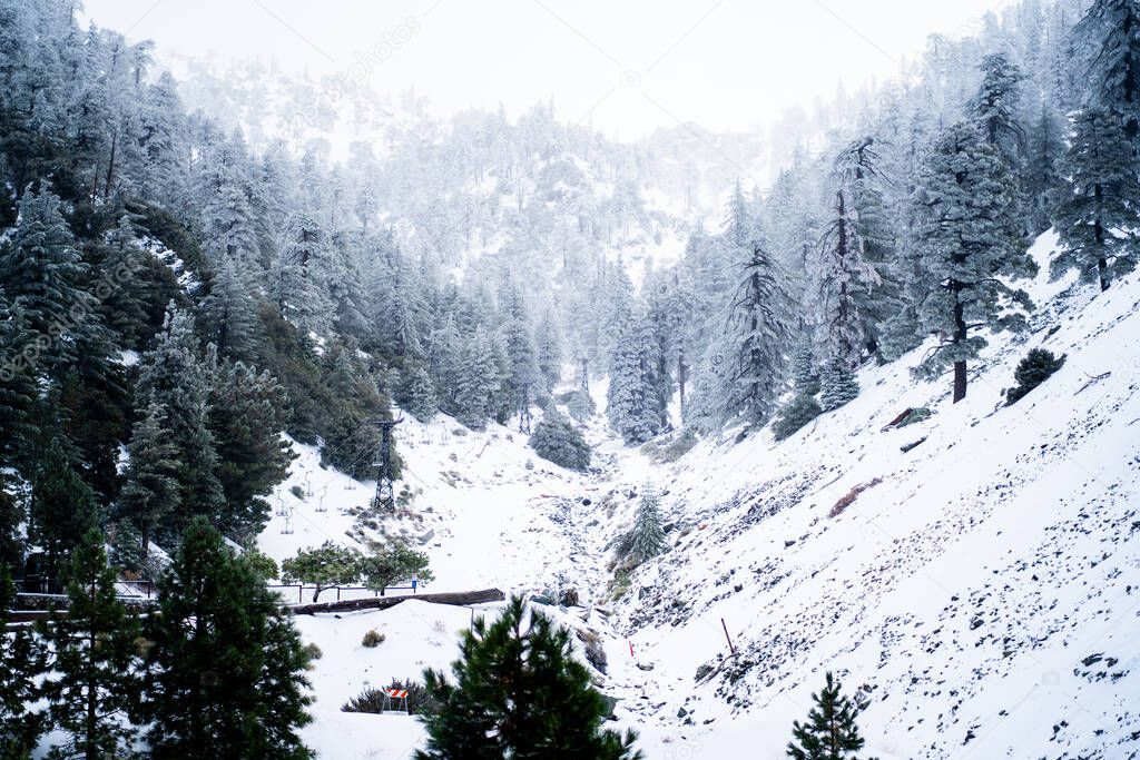 A snowy landscape with trees and hills in Mount Baldy, California, United States