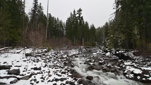 Footage Mount Rainier Foothills River Snowfall Washington State — Stockvideo