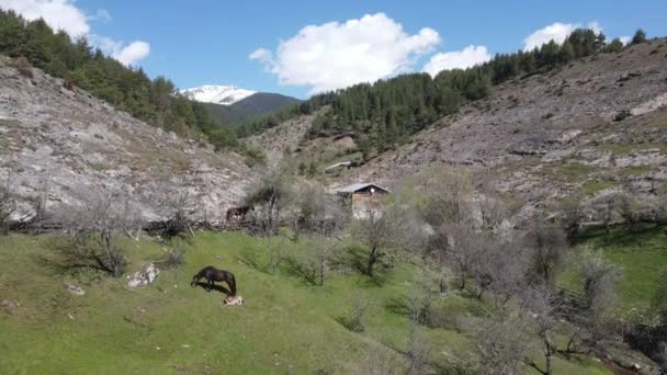 保加利亚Dobarsko村Rila山美丽的照片 — 图库视频影像