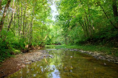 A scenic view of a river flowing through rocky banks covered with green grass and trees