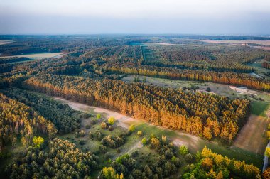 A drone shot of a big green landscape with kilometers of trees and shrubs under cloudy sky