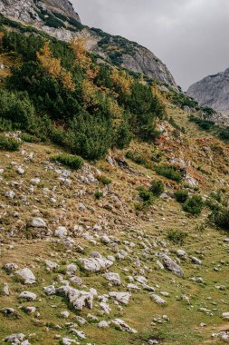 A vertical shot of the tall lush mountains of Montenegro under a dark cloudy sky