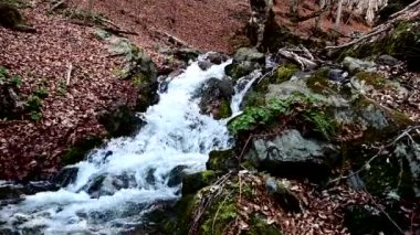A time-lapse of a small stream in Osogovo mountain during the day