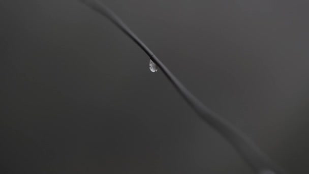 Closeup Drop Falling Wire Blurry Background — Stockvideo