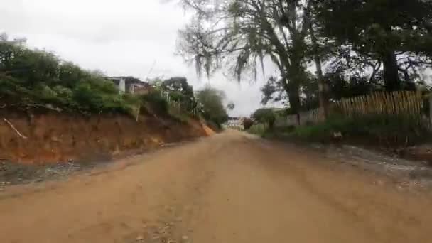 Unpaved Road Green Trees Traditional Rural Houses Sides Road Daylight — Vídeo de Stock
