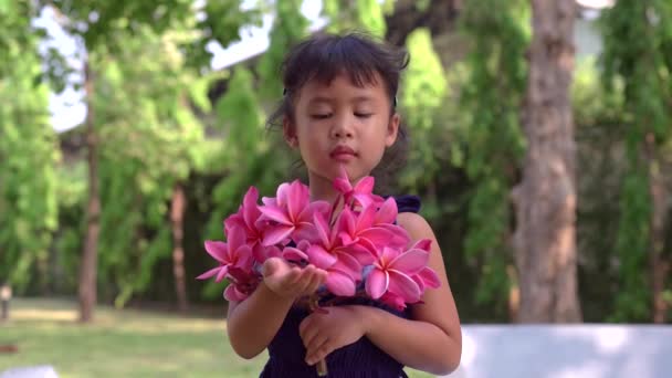 Slow Motion Shot Asian Little Girl Holding Pink Flowers Showing — Vídeos de Stock