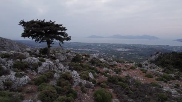 Drone Passing Lone Tree Reveal Palaio Pyli Castle Kos Greece — Wideo stockowe