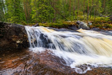 Çam ormanıyla çevrili yosunlarla kaplı kayaların arasından akan bir nehrin manzarası.