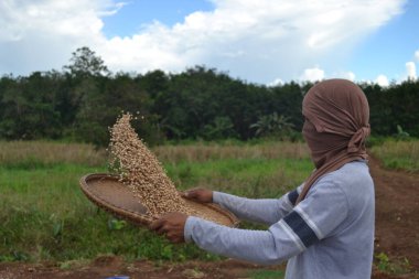 A local farmer using a winnowing basket for cleaning rice against a blurred background
