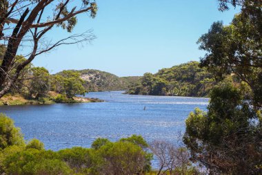 A natural view of a calm lake and forest landscape under a clear sky