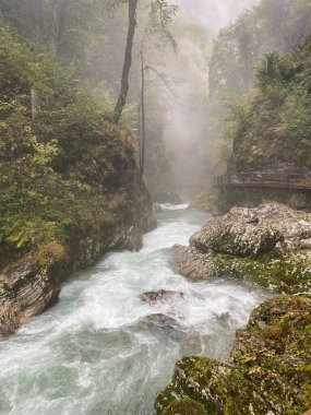 A beautiful landscape view of river flowing in the forest during daytime in Soteska Vintgar, Slovenia