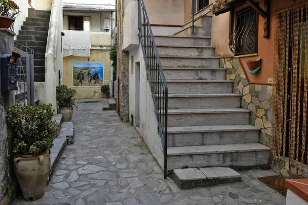 Narrow Street Painted Murals Village Calabria Region Italy — Stock Photo, Image