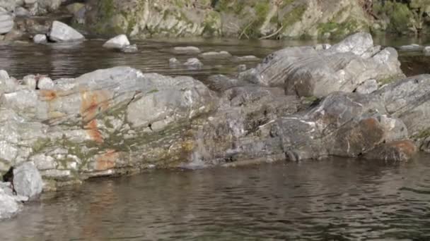 Slow Motion Water Flowing Rocks River Breggia Valle Muggio Ticino — 图库视频影像