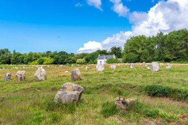 Brittany 'deki Carnac, bir taş tarlası, menhir dizilimi.