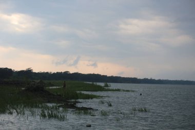 A lake with a distant view of trees along its far horizon, under puffy white clouds in a blue sky. A straight horizon.