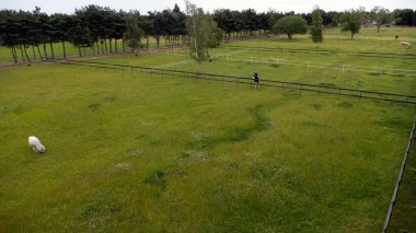 A top view of paddocks in a ranch in East Anglia, England
