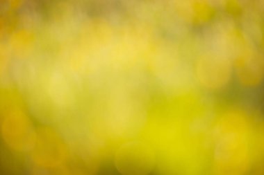 Yumuşak bulanık sarı ve yeşil renkli arka plan, bahar ve yaz mevsimi, pastel renkler, çözülmüş soyut doku, tebrik kartı