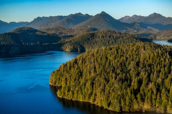 Aerial Shot Meares Island Tofino Vancouver Island Canada — Stok fotoğraf