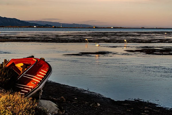 Scenic View Old Boat Beach Flamingos Background — Stock Fotó