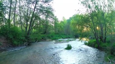 A beautiful view of the Ega river flowing in the forest in Navarre, Spain