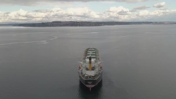 Aerial View Container Cargo Ship Sea — Video