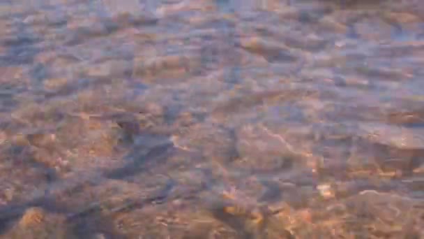 Beautiful View River Clear Flowing Water Rocks — Video