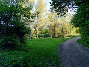 Parlak yeşil bir parkta uzun bir yürüyüş yolu