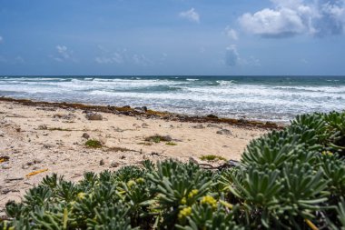 A scenic view of a coastline with turquoise ocean waves with white foams from afar on a sunny day