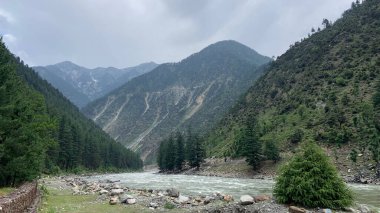 An aerial shot of a river surrounded by trees on the background of forested mountains on a gloomy day