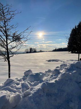 a vertical shot of snowy field against trees