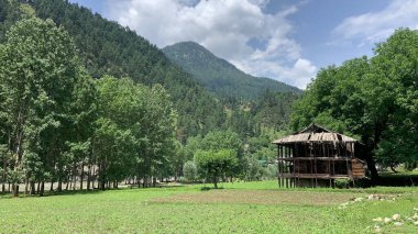 A beautiful shot of green trees in the field with wooden house on the background of forested mountains