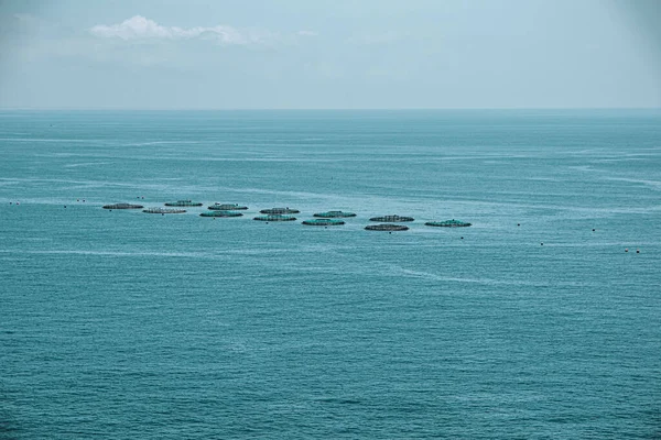 Scenic View Fish Farms Coast Madeira Portugal Surrounded Blue Sea — Stock Fotó