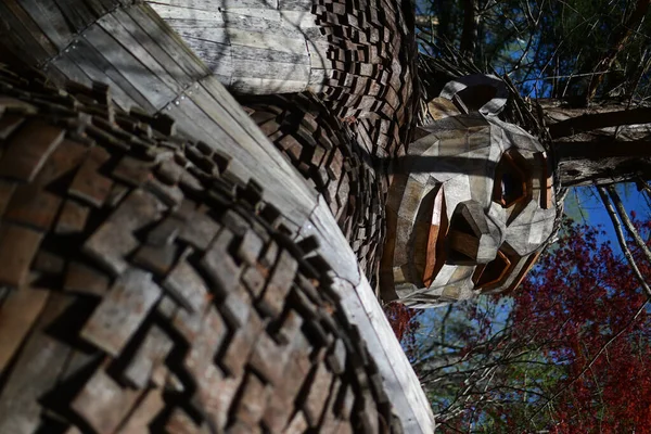 Vertical Shot One Wooden Forest Giant Statues Bernheim Forest Kentucky — Stockfoto