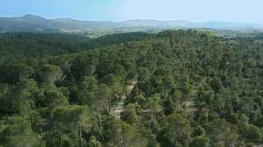 An aerial footage of a narrow road passing through the green forest