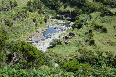 A beautiful landscape view of a mountain creek flowing over stones in bright sunlight in Flores Island, Azores, Portugal