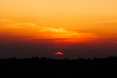 A distant view of a beautiful reddish sunset with silhouette of trees in the foreground in Hampshire, United Kingdom