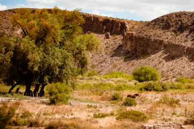 Orman tepelerinin doğal bir manzarası