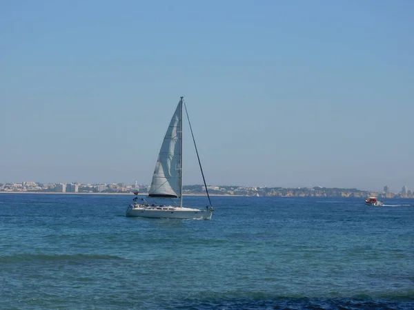 Scenic Shot White Sailboat Calm Sea Clear Blue Sky — kuvapankkivalokuva